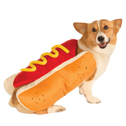 🎃 Top 5 Halloween Costumes for Cats and Dogs: Creative and Fun Ideas to Celebrate the Spooky Season 🐾