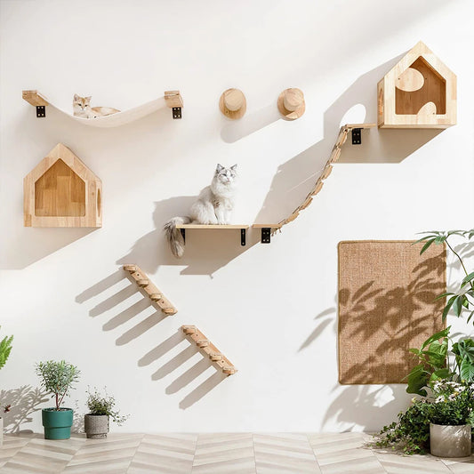 How to Encourage Your Furry Baby to Use Cat Wall Shelves?