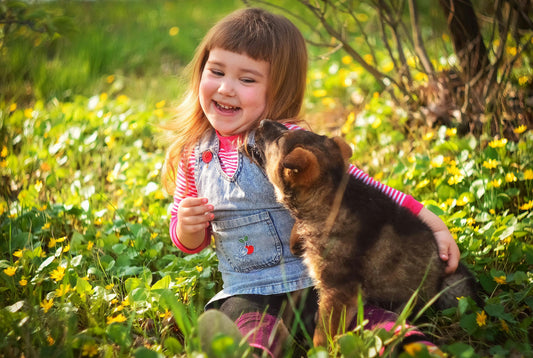 How to Best Care for Your Dog During Springtime