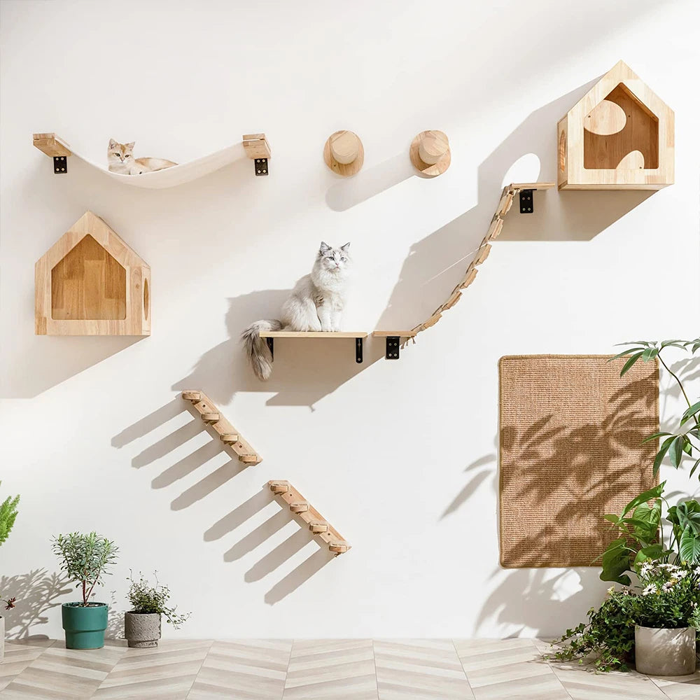 How to Encourage Your Furry Baby to Use Cat Wall Shelves?