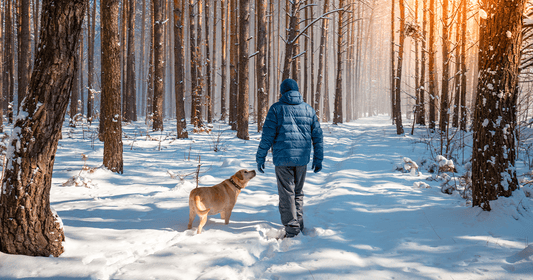 How to protect your dog from the cold during winter time?